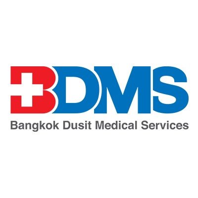 logo bdms